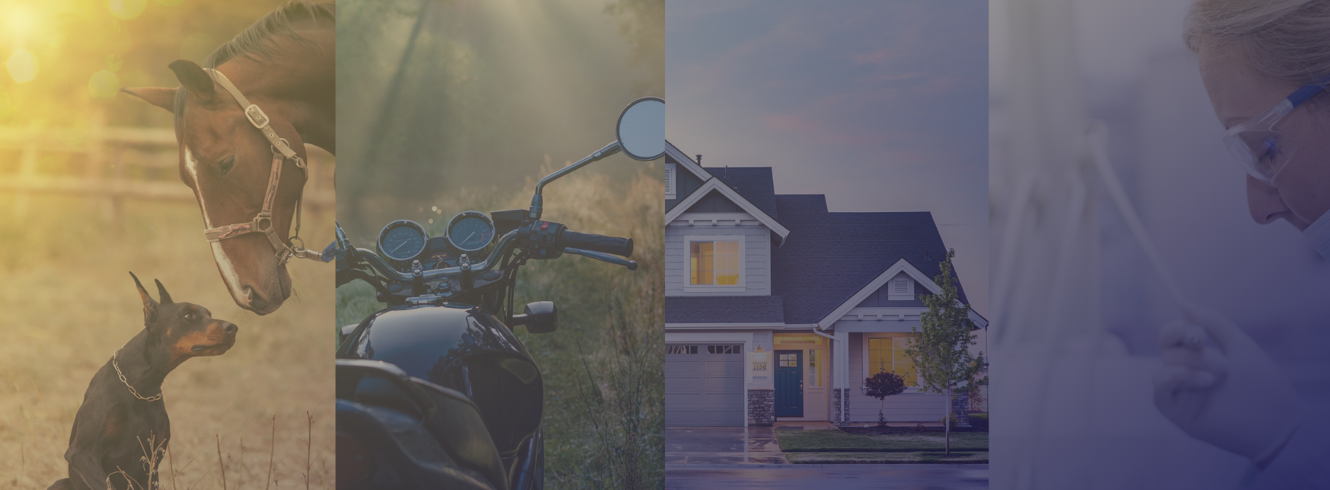 Bild mit Tieren, einem Haus, einem Motorrad und einer Ärztin